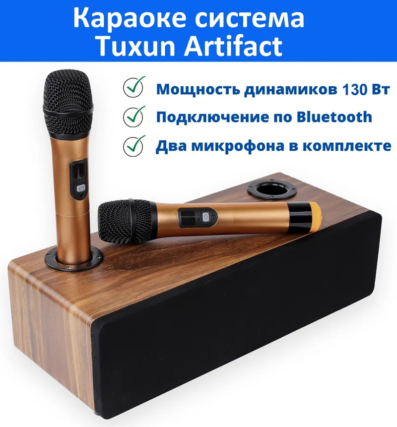 Professional Karaoke Wireless  - Home Cinema Audio System のレビューと価格