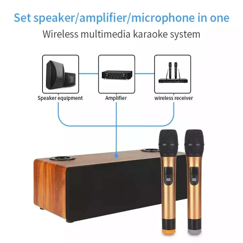 Professional Karaoke Wireless  - Home Cinema Audio System のレビューと価格